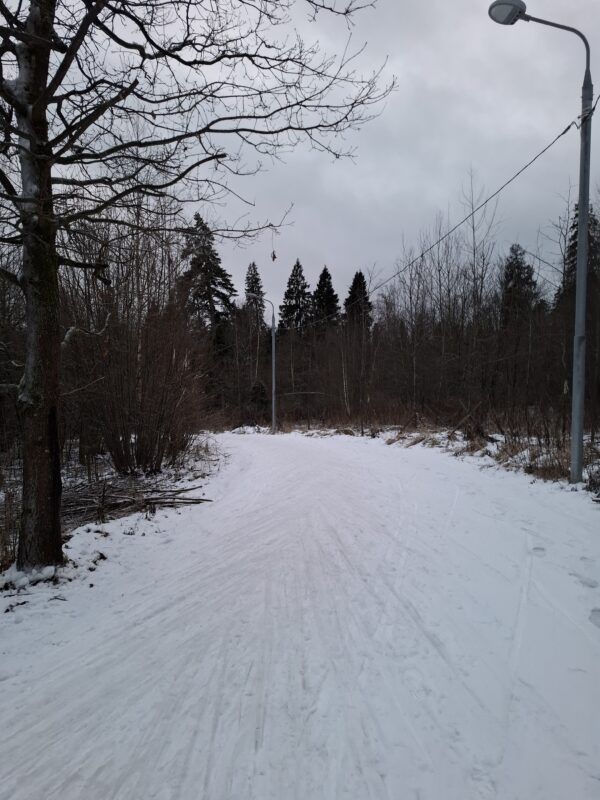 Трасса лыжероллерная Зеленоград Савелки, состояние на 22 декабря 2025 по отзыву, фото 2. 